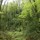 Using nature to cope with stress